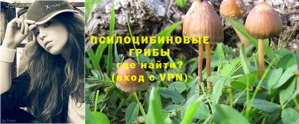 гидра Балахна