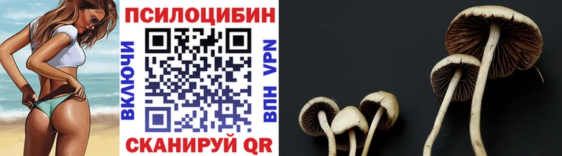 купить наркотики сайты  Кораблино  mega tor  Галлюциногенные грибы ЛСД 